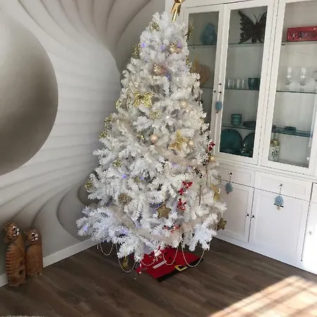 Apartamento Centrico ,moderno Y Confortable
